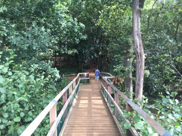 Alice running ahead, following the paths and trails around Fleet Pond.