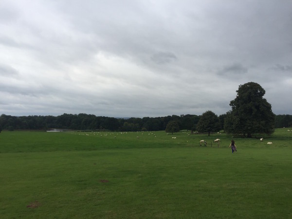 The Capability Brown designed grounds of Berrington Hall