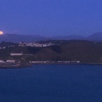 My Sunday Photos from Wellington, New Zealand