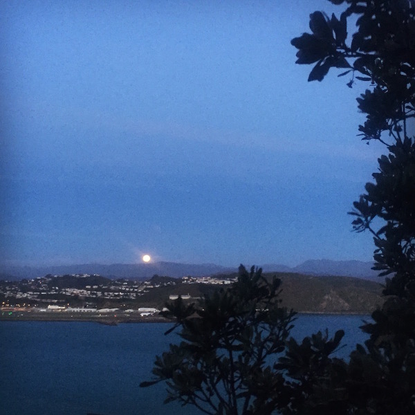 Full moon rising over Lyall Bay - I only wish my phone camera could have captured what my eyes could see!