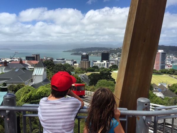 Wellington from the top of the cable car, in the Botanical Garden.