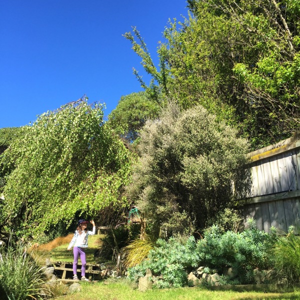 Alice in our garden