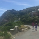 Great Places to Scoot in Wellington