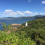 A day trip to Matiu-Somes Island, Wellington