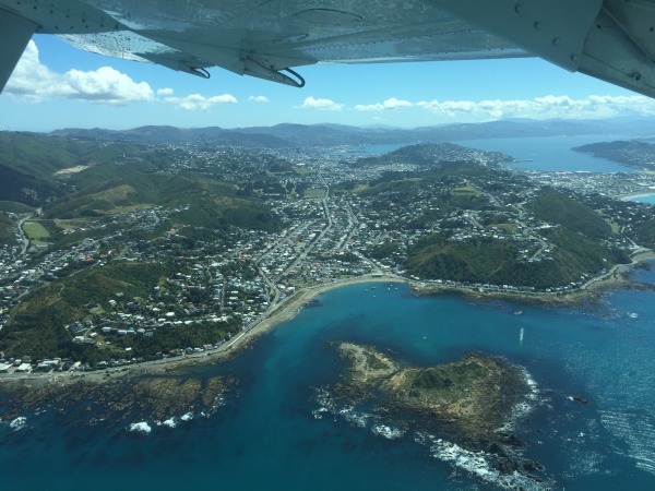 Flying out from Wellington, over the south coast, where we live, and Island Bay.