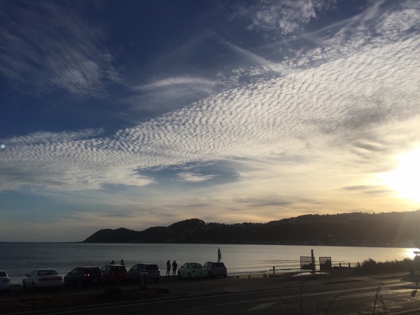 Lyall Bay from the Spruce Goose