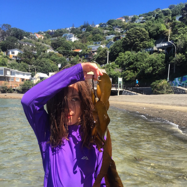 Alice fascinated by the different types of kelp and seaweed at Balena Bay, Wellington.