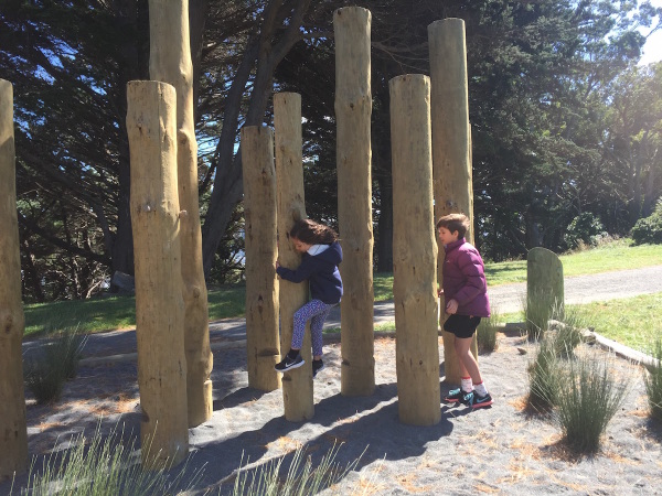 Weaving through the reed poles.