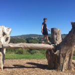 Exploring the new Matairangi Nature Trail, Wellington