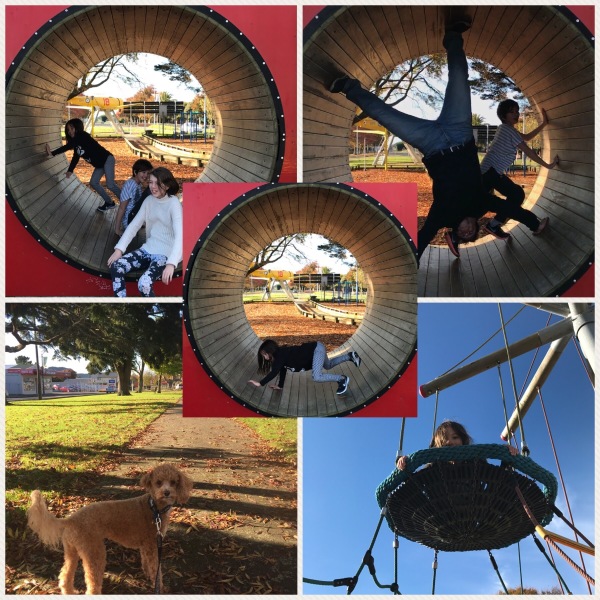 Playground stop on the drive back to Wellington!