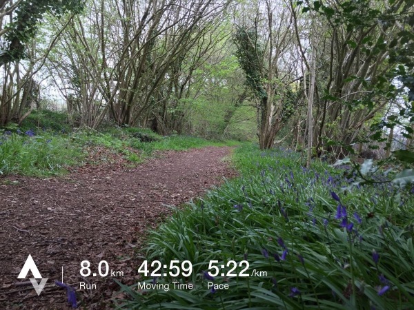 Running on my childhood stomping ground, in Hampshire, England.