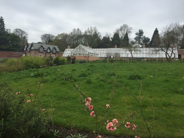 Newly restored glasshouse at Quarry Bank