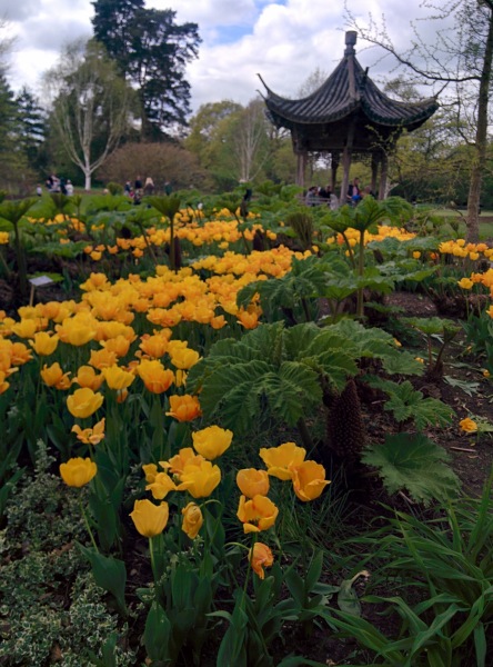 Spring time at Wisley Gardens