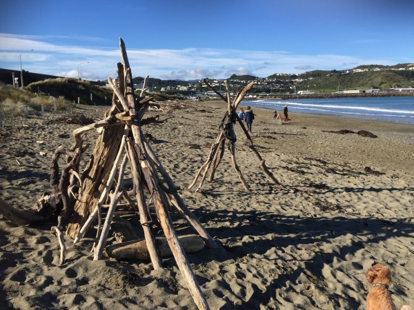 Drift wood 'shelters' on Lyall Bay Beach