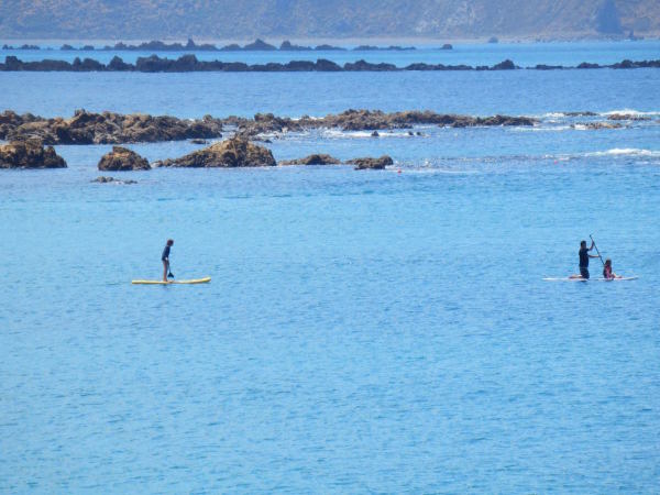 Paddle boarding in Island Bay, Wellington