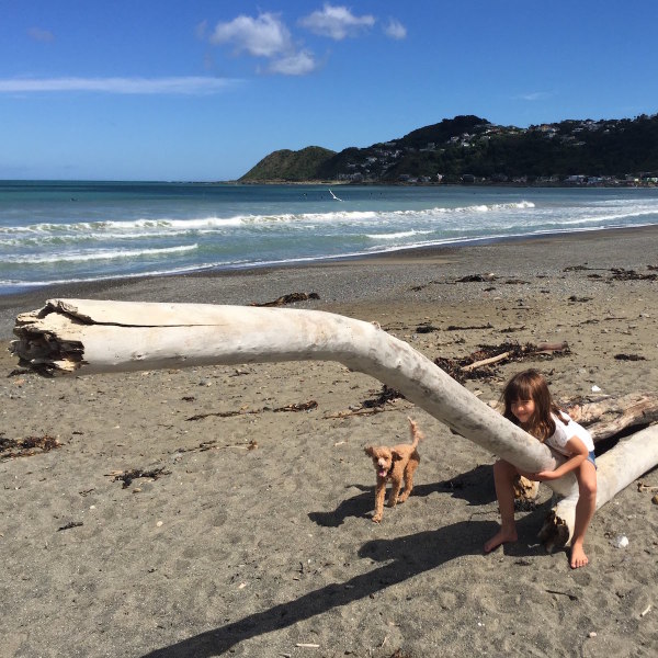 Lyall Bay surf stole our hearts on Friday