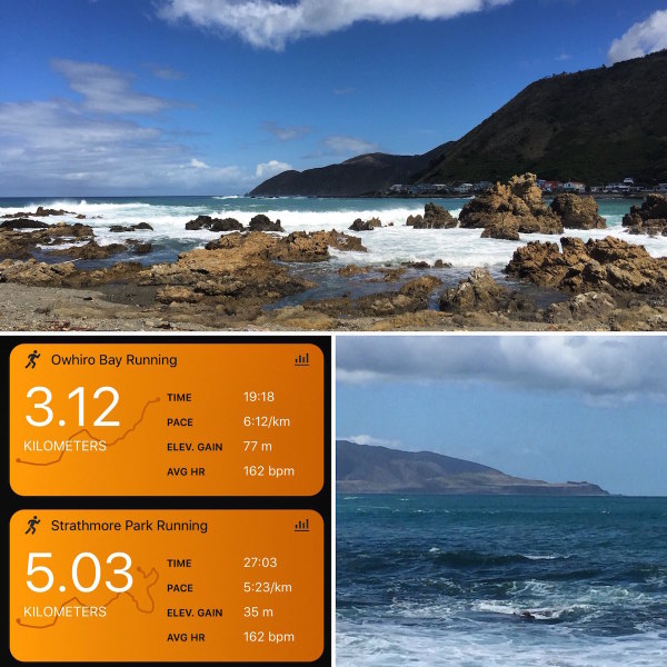 Love running on the south coast of Wellington