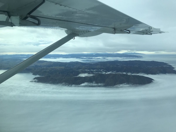 Flying back to Wellington, from the South Island, via the south west coast of Wellington.