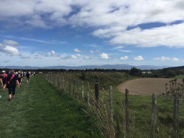 Around the edge of the vineyards