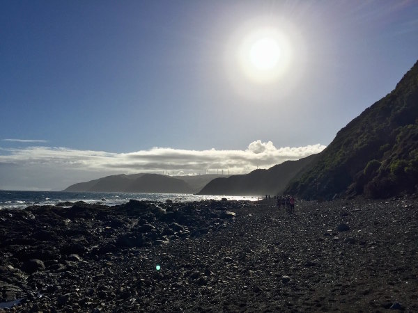 Looking back on the beach section I'd covered - and fellow long course runners (that would soon all over take me - as I struggled to keep up pace on the difficult terrain!).