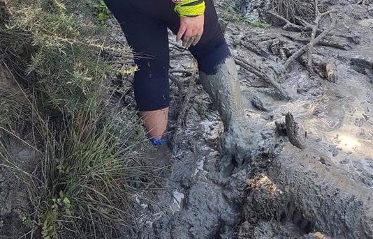 My GVR buddy finding her way through the mud!