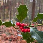 A different kind of Christmas