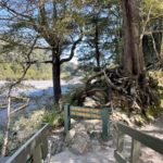 Trail goodness in the southern Remutaka Ranges