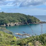 A long weekend with friends near Goat Island Marine Reserve