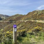 Spring running highlights on Wellington’s trails